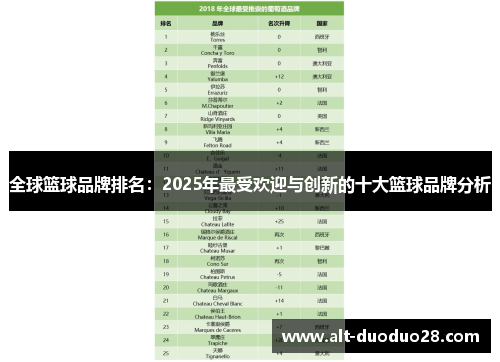 全球篮球品牌排名：2025年最受欢迎与创新的十大篮球品牌分析