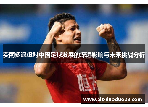 费南多退役对中国足球发展的深远影响与未来挑战分析